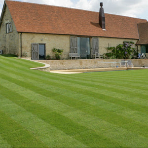 Premium Turf