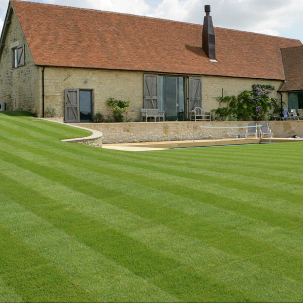 Premium Turf