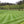 Load image into Gallery viewer, Premium Turf
