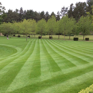 Premium Turf