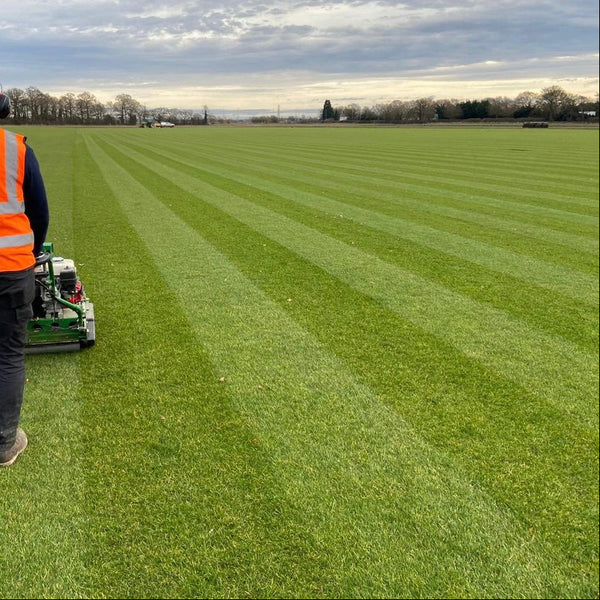 Premium Turf