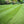 Load image into Gallery viewer, Premium Turf
