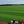 Load image into Gallery viewer, Buckley Premium Turf Being Cut
