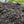 Load image into Gallery viewer, Garden Compost - Organic Peat Free | Multi Purpose Compost &amp; Soil Conditioner
