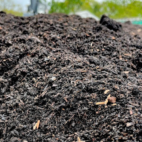 Garden Compost - Organic Peat Free | Multi Purpose Compost & Soil Conditioner