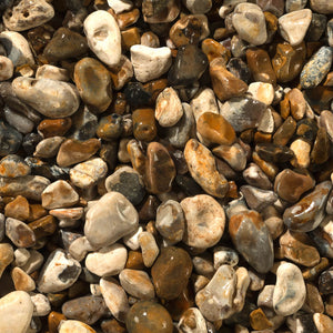 Oyster Pebbles 20mm