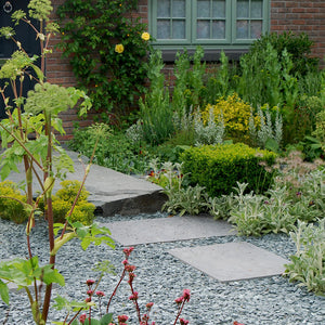 Green Slate 40mm Garden Design