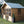 Load image into Gallery viewer, Alpine Wing Summer House
