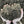 Load image into Gallery viewer, top soil multi purpose in hands
