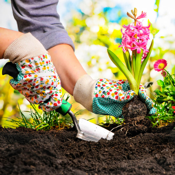Planting flowers with Top Soil for beds and borders
