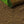 Load image into Gallery viewer, Top soil lawn and seed raking soil
